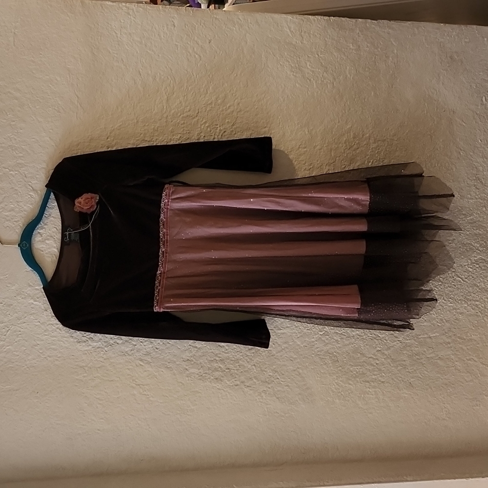 Speechless  Girl's Formal long sleeved dress, Size 14